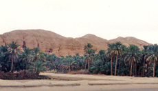 Hofuf-Berg-Abraham.jpg